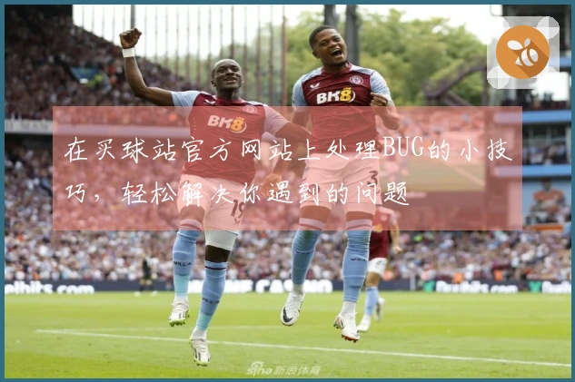 在买球站官方网站上处理BUG的小技巧，轻松解决你遇到的问题