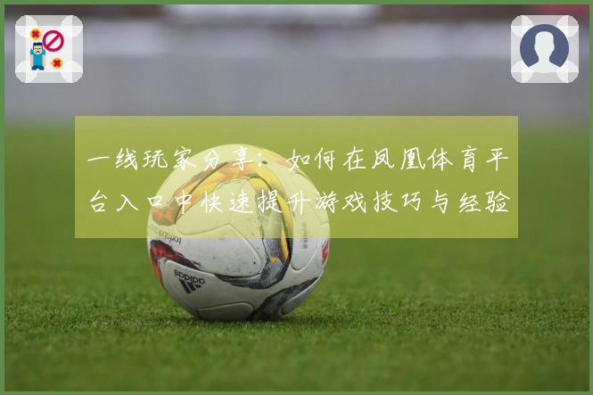 一线玩家分享：如何在凤凰体育平台入口中快速提升游戏技巧与经验值