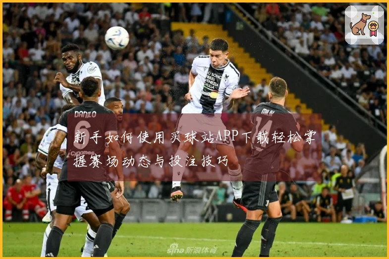 新手如何使用买球站APP下载轻松掌握赛场动态与投注技巧