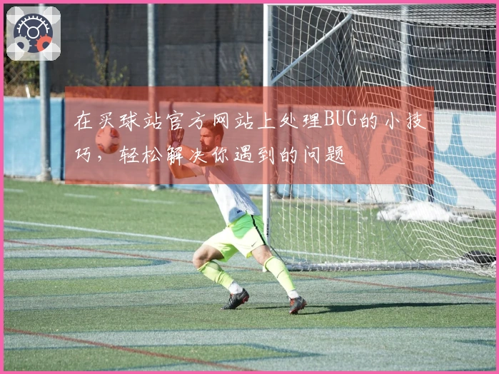 在买球站官方网站上处理BUG的小技巧，轻松解决你遇到的问题